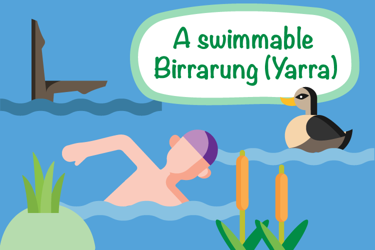A swimmable Birrarung (Yarra)