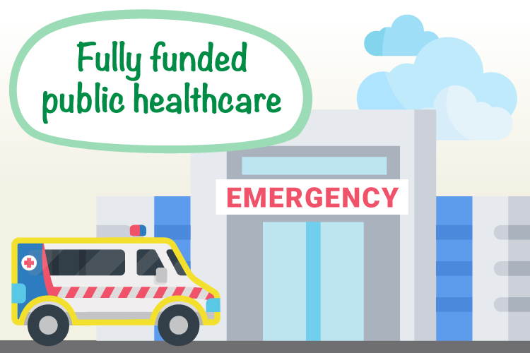 Fully funded public healthcare